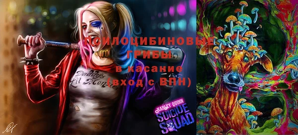 не бодяженный Арсеньев