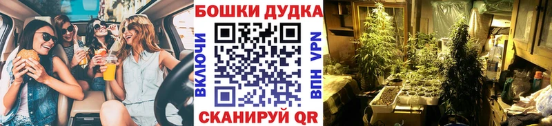 Бошки марихуана Amnesia Калязин
